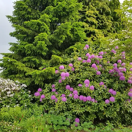 דירה Monschauer Land מונשאו