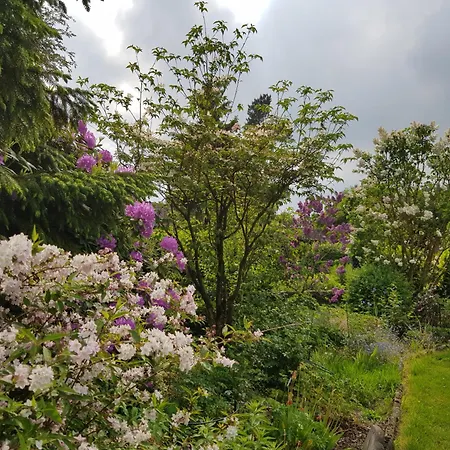 דירה Monschauer Land *