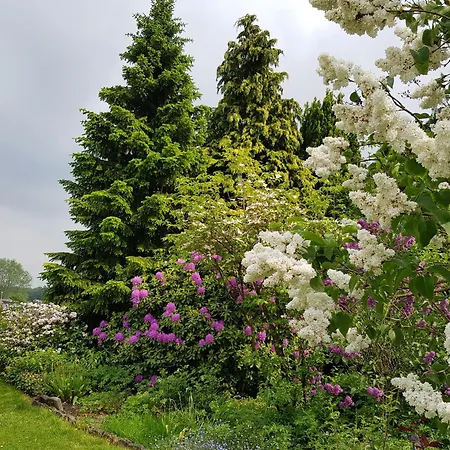 דירה Monschauer Land מונשאו