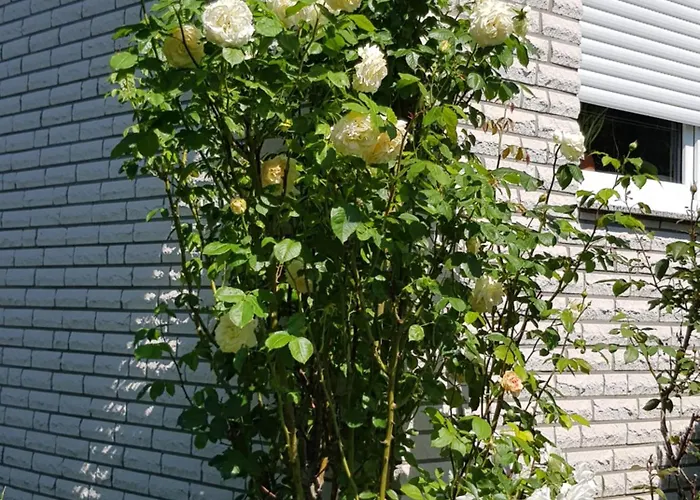 Monschauer Land * Monschau