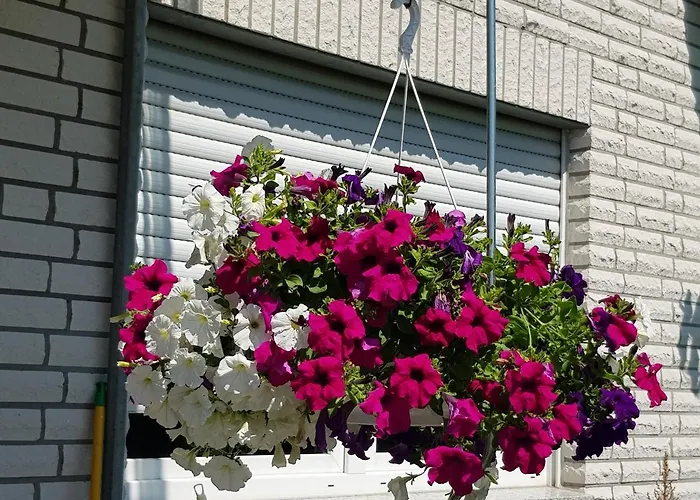 Apartment Monschauer Land