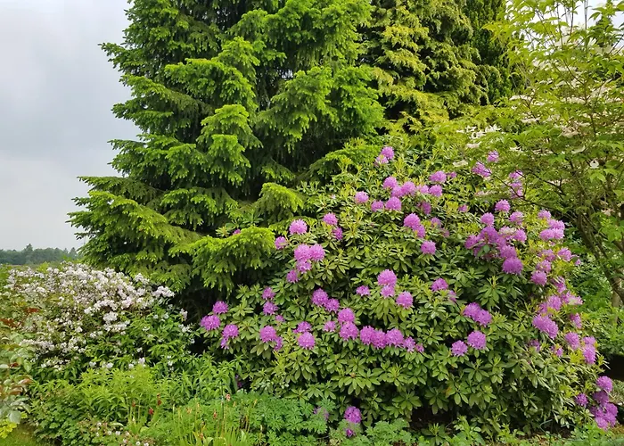 Apartment Monschauer Land Monschau