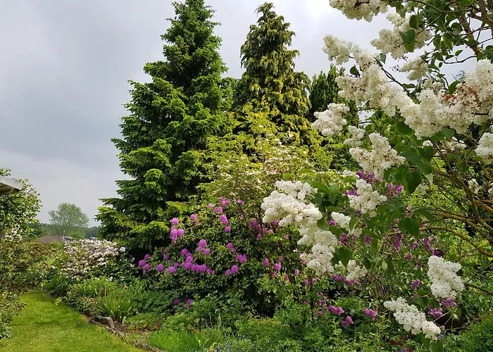 Apartment Monschauer Land Monschau